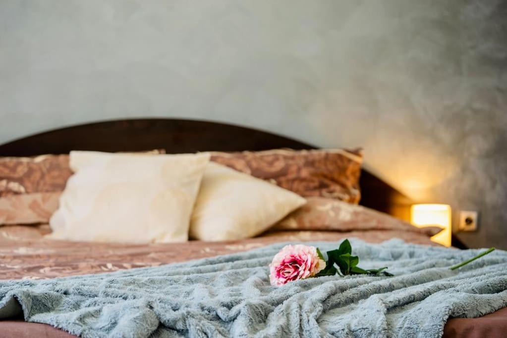 Cozy 2-Bedroom Flat In The Very Center Of 索菲亞 外观 照片